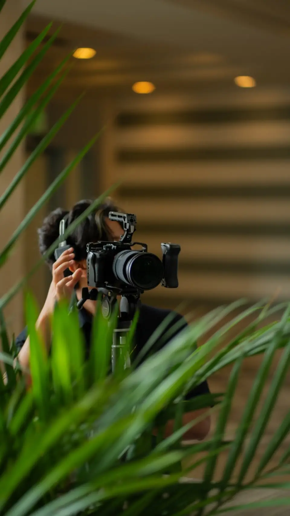 Stel Star camera operator filming through tropical greenery